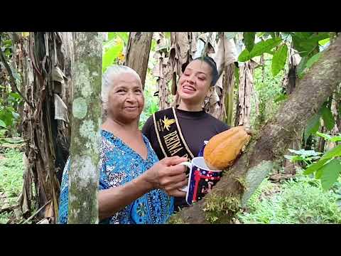 ¡Cacao Sin Fronteras! Ahora desde la isla Isabela, Galápagos 🍫👑🇪🇨