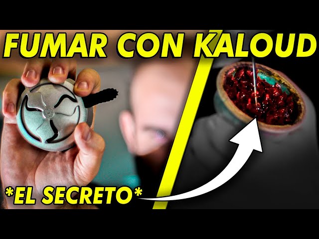 Aprende TODO sobre KALOUD ?