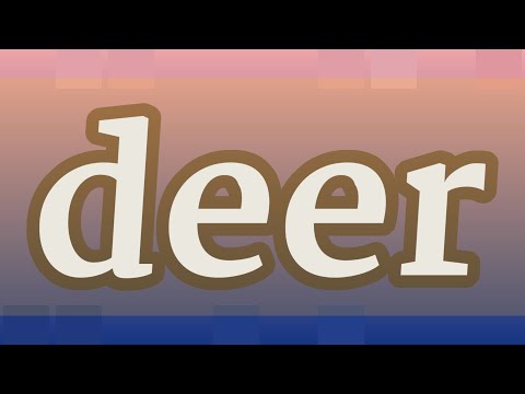 DEER pronunciation • How to pronounce DEER