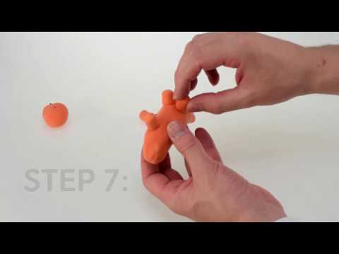 Toi-Toys International - instruction video - 47856 Air dry clay