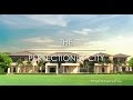 THE PERFECTIONIST CITY 