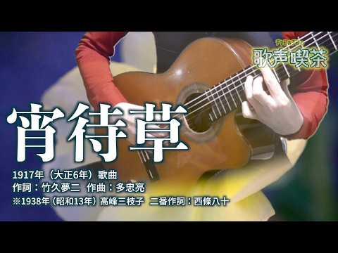 宵待草