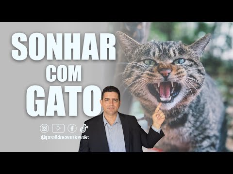 DREAMING ABOUT A CAT 🐈 | BE CAREFUL ⛔️ ⚠️ #prayer #divinerevelations #dreams #cats