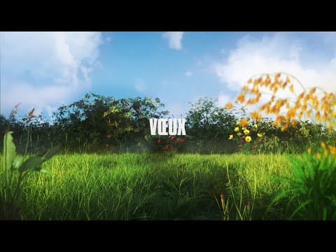 Video thumbnail for Vœux