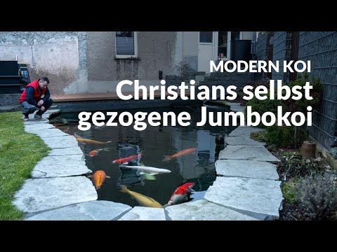 Christians selbstgebauter 36.000 Liter Teich mit echt großen Koi | Modern Koi Blog #6491