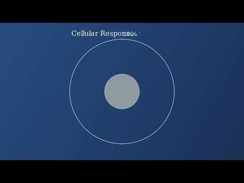 Cell membrane (Plasma Membrane) Structures and Functions - Video