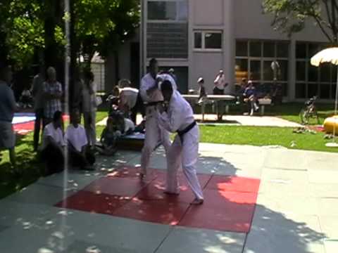 Sportfreunde Harteck Sommerfest 27.07.2008  (Ju-Jutsu 02)