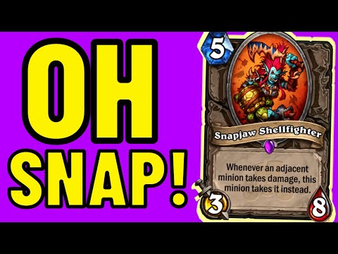 This Hearthstone Interaction is HYSTERICAL!