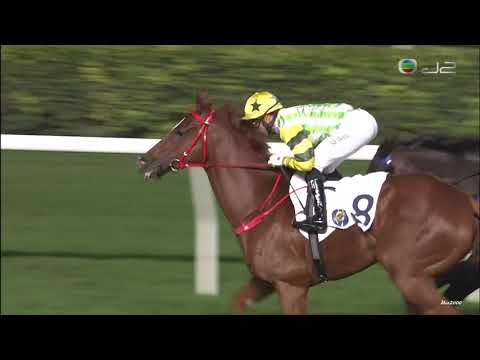 28/11/2021 (214) 風火戰駒 (D450) 莫雷拉