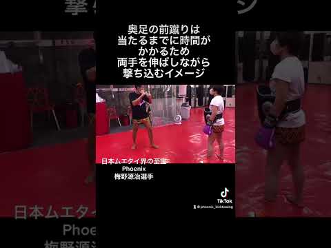 相手を吹っ飛ばせる！奥足の前蹴りでのカウンター