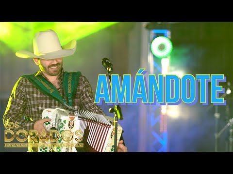 Los Dorados - Amándote (En Vivo)