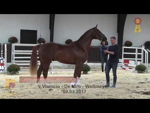 25 Vilancio - De Niro