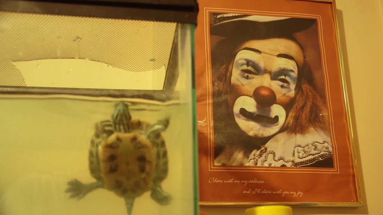 Promotional video thumbnail 3 for The Magic Of Quany