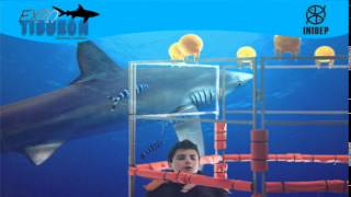 DIA 2 Expo Tiburon148