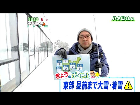 いつ冬のベールをかぶるかを知ることがなぜ重要なのでしょうか?効果はあるのでしょうか？  庭園
