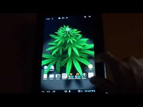 My Ganja Plant Live Wallpaper Video