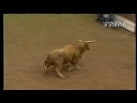 Yellow Jacket bucks Casey Gates - 00 PBR Salt Lake City