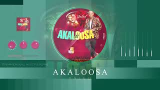 Akaloosa 🌹 - Yaled (Official Music Visualizer)