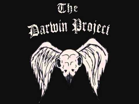 The Darwin Project - Okay