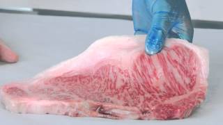 Grain Fed vs Grass Fed. What's the difference?