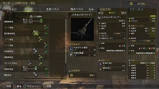 モンスターハンターワイルズ 自分のための記録配信02