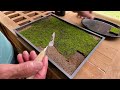 A Little More Moss For My Root Over Rock 4 Aug 2024