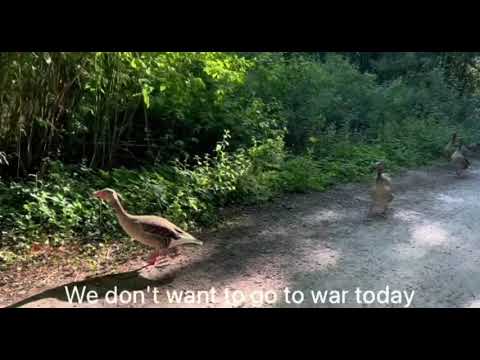 There is away where there is a whip