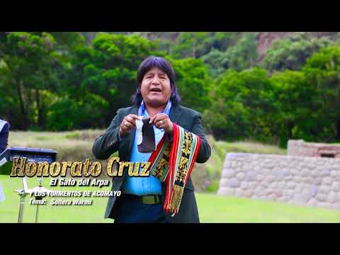Gato Del Arpa - Soltera Warmi / Videoclip Oficial (Huayno Perú)