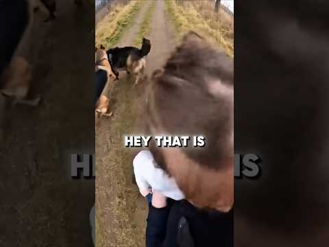 A DOG SAVED THE FAMILY🐕