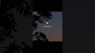 Download lagu Alfaaz hi nahin hai 🌙💌- Aestheticlyrics | Zain Zohaib & Hamza Malik | #songlyrics #lyrics #status mp3