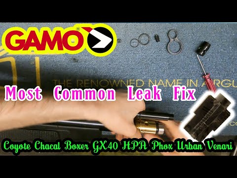 Gamo PCP Air Rifle Most Common Leak Fix - Phox / Coyote Etc.