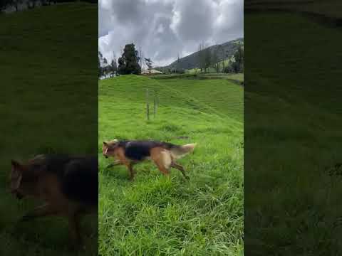 Saludan ✋ hoy miércoles 7 dé enero desde el municipio de Belmira norte de Antioquia