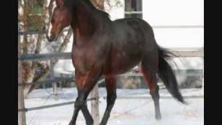 grupo laberinto- la soraya.flv