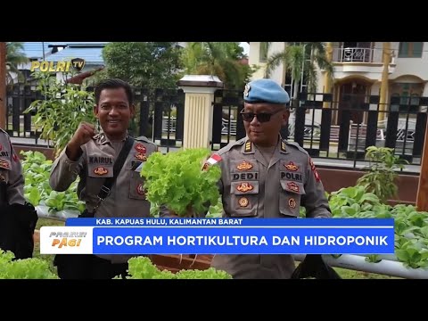 POLRES KAPUAS HULU BUDIDAYA SAYURAN