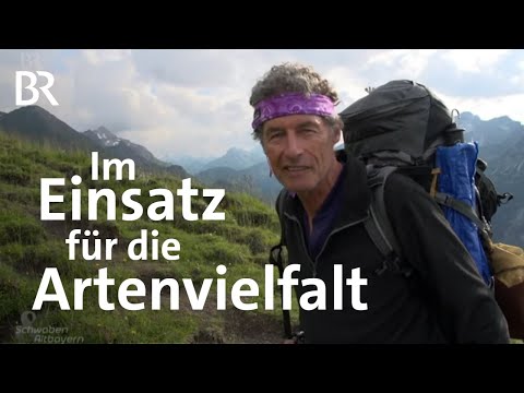 Insektenkundler: Einsamer Kampf für die Artenvielfalt | Schwaben & Altbayern | BR