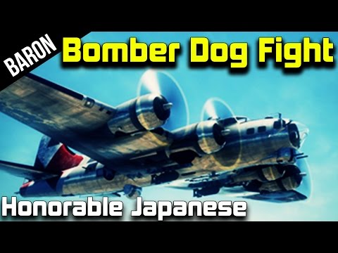 Fighter Bomber PC