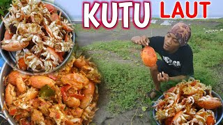 Download lagu SURVIVAL : EXOTIC cuisine of the south coast | Cooking delicious and tasty sea ants! mp3 Download lagu SURVIVAL : EXOTIC cuisine of the south coast | Cooking delicious and tasty sea ants! mp3