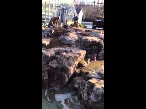 Certified Aquascape Contractors Advanced Build