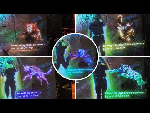 Night Safari Singapore - The Secret Jump (Full Gameplay + All Height Levels) [Secret Wild-erland]