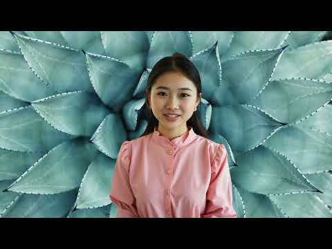 Cognitivism: Unpacking the Mind | Golden Age