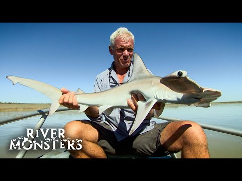 The Animals Facing Extinction Caught On River Monsters