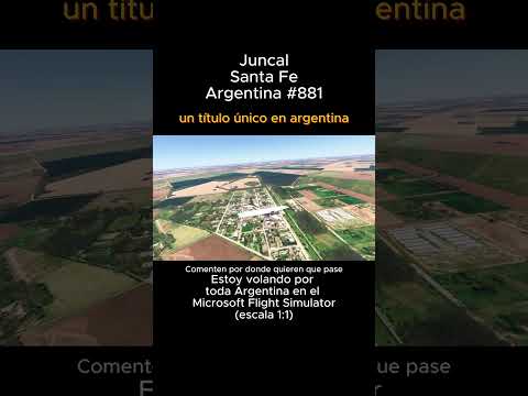 Juncal, Santa Fe desde el Microsoft Flight Simulator #juncal #santafe #msfs #joaha45 #argentina