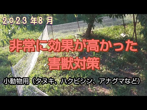 鹿を庭から追い出す 庭の練習
