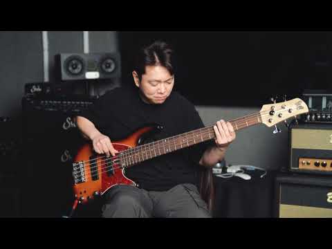 Fodera Emperor 5 Standard Classic-Vintage Sunburst (Optional Color) w/Birdseye Maple FB, Black PG image 8