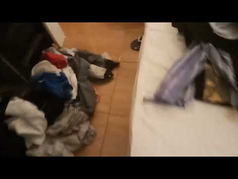 Kiefer is getting mad at my 3 cats, so I tell him to be QUIET!