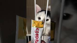 2019.1.6今日のらにぽん。