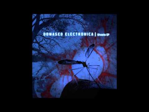 Domased Electronica - Ghosts
