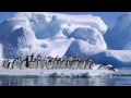 Антарктида ( факты для детей) 