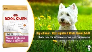 Royal Canin West Highland White Terrier 3 кг (3981030) - відео 1
