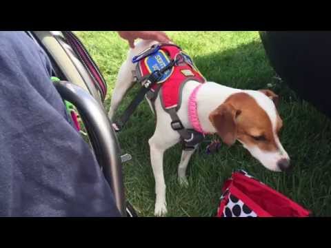 Behind the scenes at #Osh15